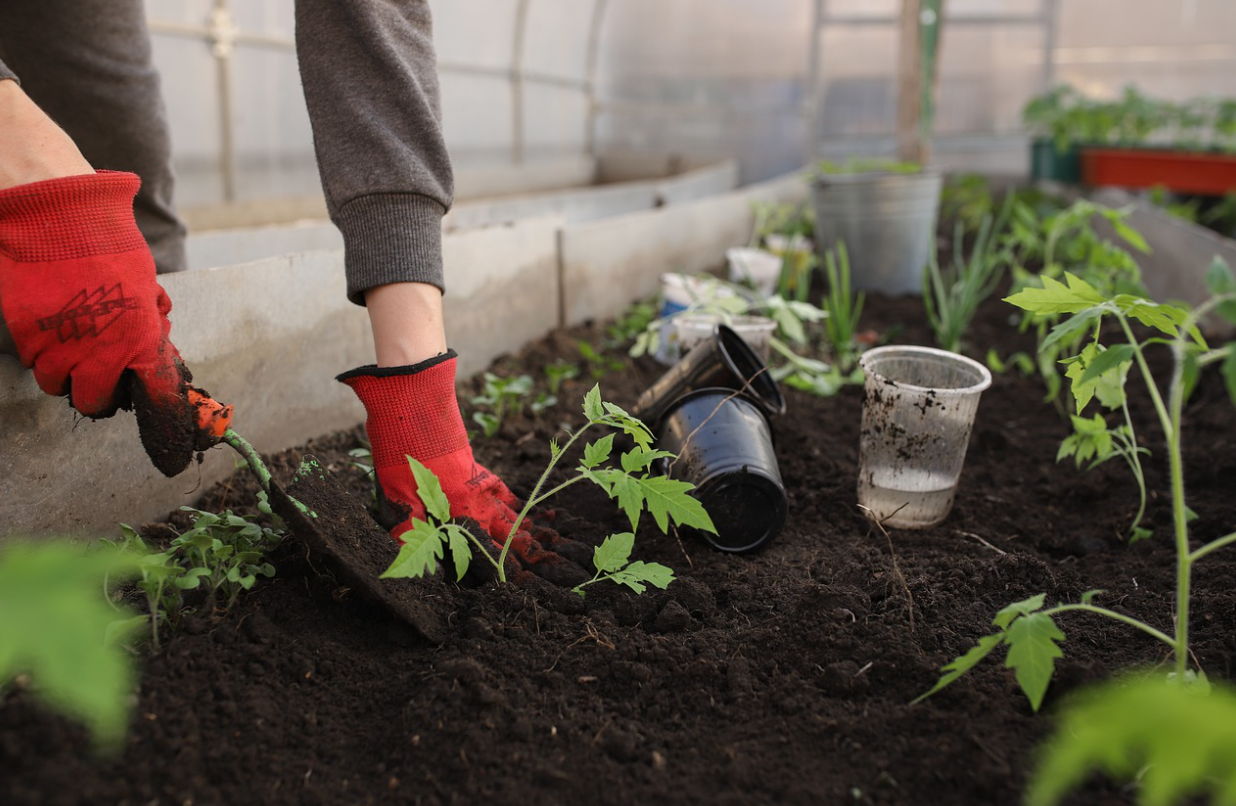 gardening
