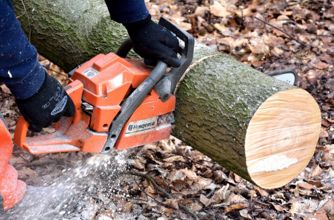 Reasons of Hiring a Tree Removal