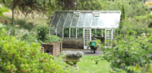 Green House 