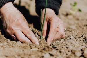 soil